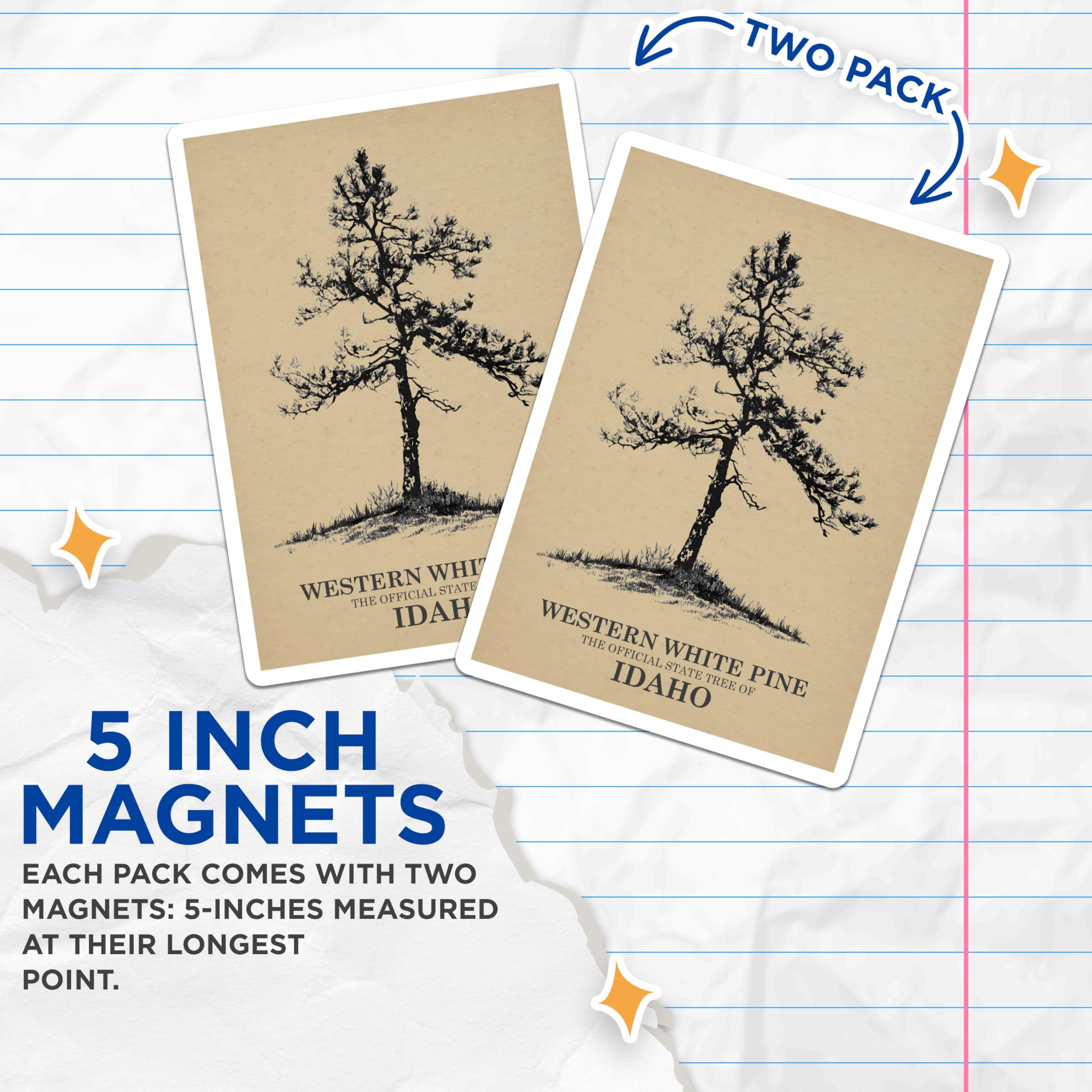(2 Pack) Western White Pine Magnets - Idaho State Tree - Nature Decor - 5" On Longest Side - Premium Magnet - for Cars, Refrigerators, Toolboxes, Lockers - Made in USA - MAG17178