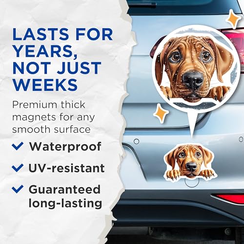 (2 Pack) Adorable Dog Art Magnet - Cute Animal Decor - 5" On Longest Side - Sticks to Smooth Flat Surfaces - Made in USA - MAG10265