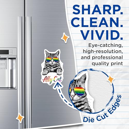 (2 Pack) Cool Cat Decor Magnet - 5" On Longest Side - Sticks to Smooth Flat Surfaces - Made in USA - MAG9544