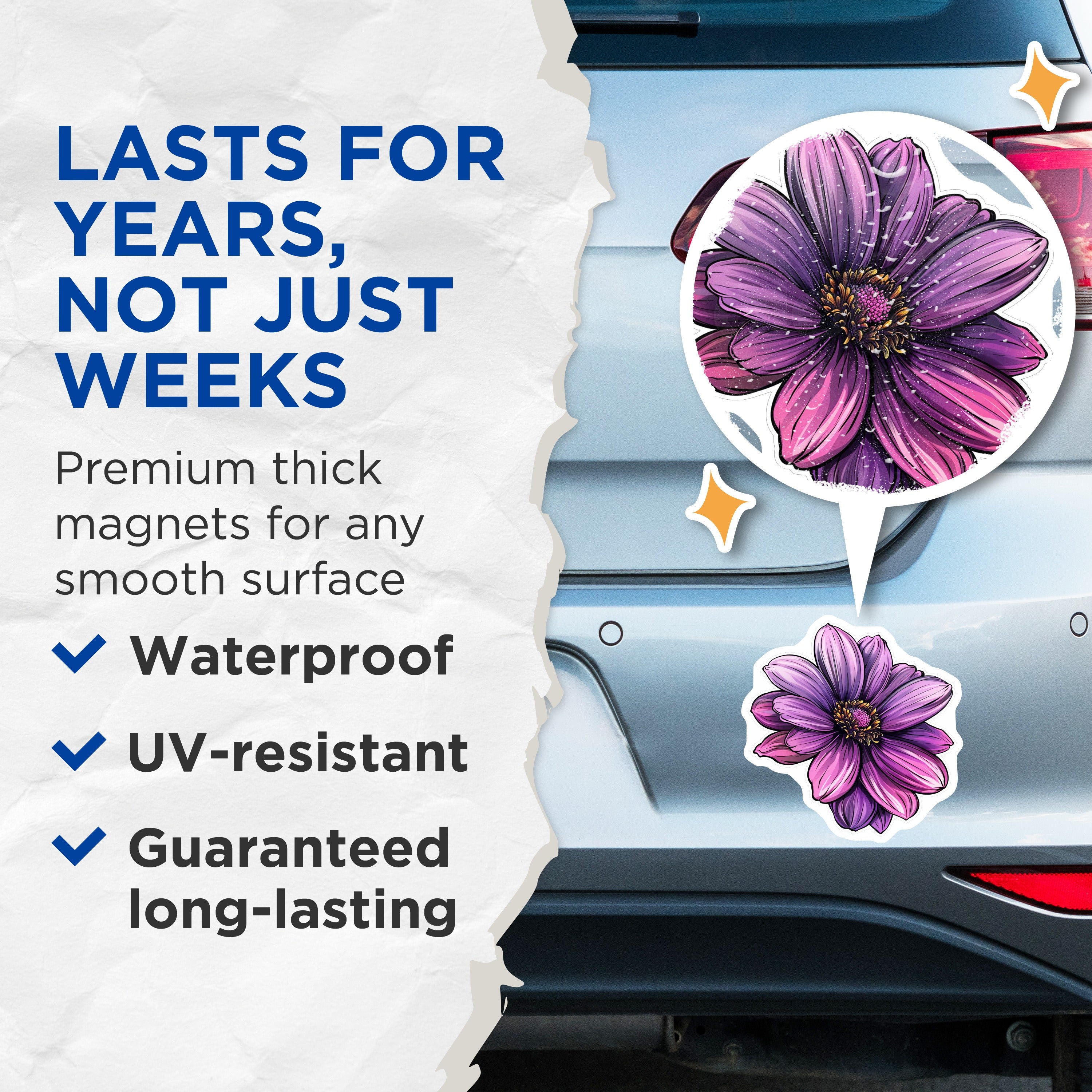 (2 Pack) Purple Dahlia Flower Magnets - Vibrant Botanical Decor - Refrigerator Locker Decor - Office Art - 5 Inches On Longest Side - Thick Durable Magnet - Made in USA - MAG38170