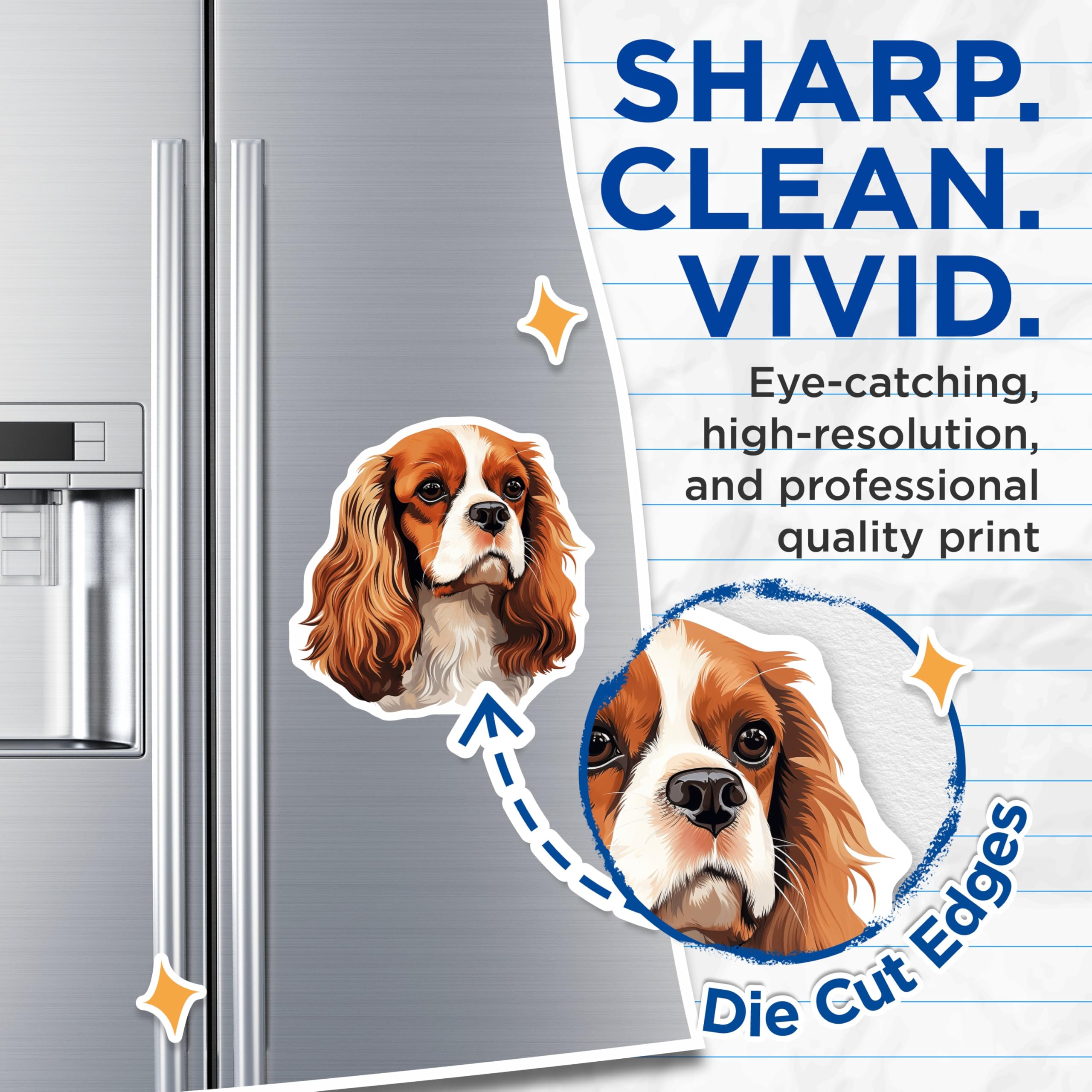 (2 Pack) Cavalier King Charles Spaniel Magnets - Blenheim Dog Breed Art Decor - Pet Lover Refrigerator Adornments - 5 Inches On Longest Side - Thick Durable Magnet - Made in USA - MAG23812
