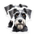 (2 Pack) Schnauzer Dog Magnets - Miniature Schnauzer Art - Pet Lover Refrigerator Decor - 5 Inches On Longest Side - Thick Durable Magnet - Made in USA - MAG26397