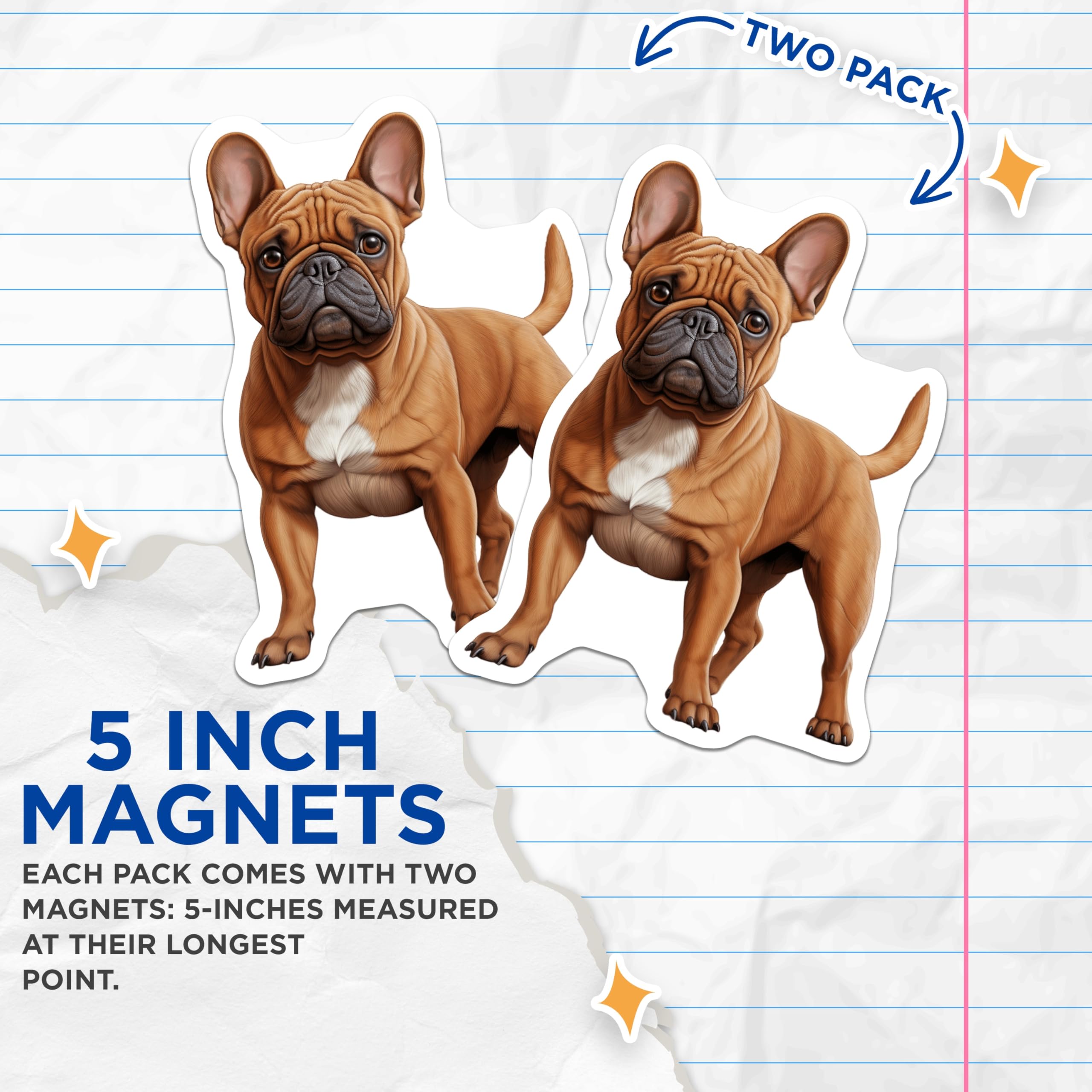 (2 Pack) French Bulldog Magnets - Fawn Frenchie Dog Lover - Pet Owner Refrigerator Decor - Cute Animal Breed Art - 5 Inches On Longest Side - Thick Durable Magnet - Made in USA - MAG29753