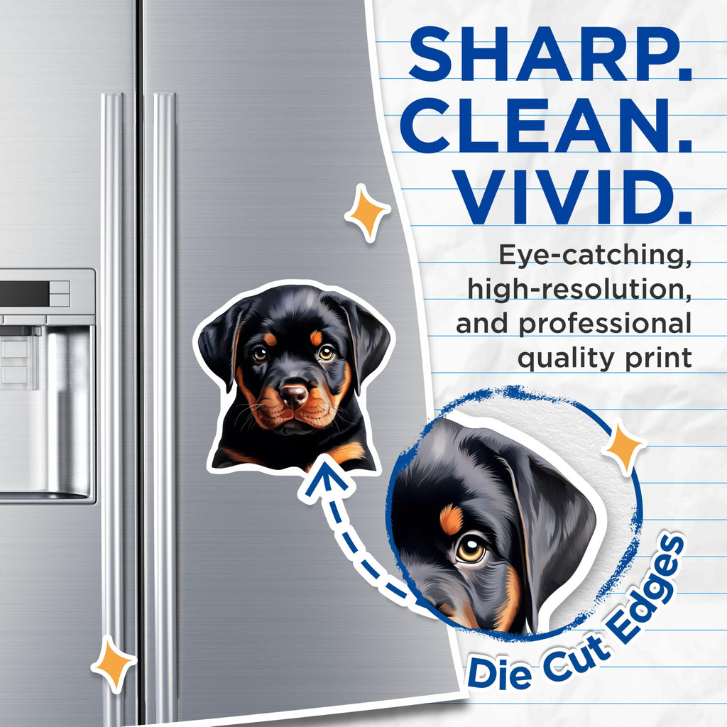 (2 Pack) Rottweiler Puppy Magnets - Adorable Dog Breed Art - Cute Canine Pet Lover Collectible - Animal Themed Fridge Decor - 5 Inches On Longest Side - Thick Durable Magnet - Made in USA - MAG23443