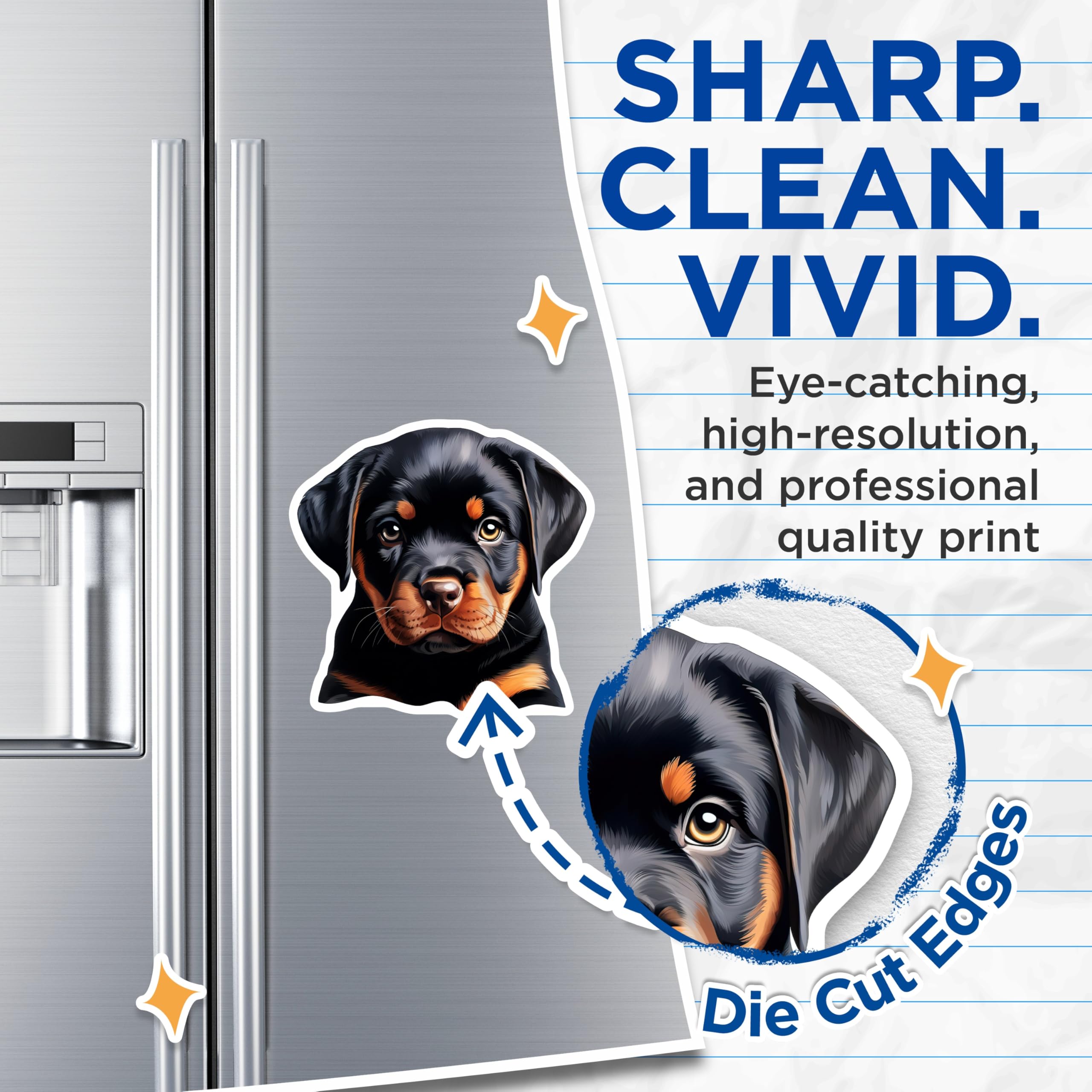 (2 Pack) Rottweiler Puppy Magnets - Adorable Dog Breed Art - Cute Canine Pet Lover Collectible - Animal Themed Fridge Decor - 5 Inches On Longest Side - Thick Durable Magnet - Made in USA - MAG23443