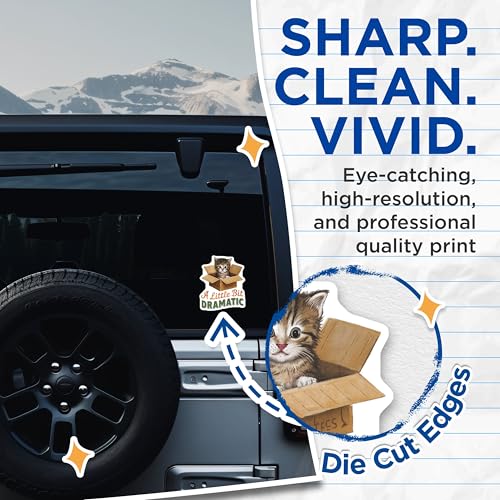 (2 Pack) Cute Kitten Box Stickers - Funny Cat Quote - Animal Lovers Sticker - 5" On Longest Side - Sticks to Smooth Flat Surfaces - Made in USA - BMCS5925