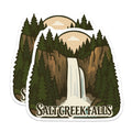 (2 Pack) Salt Creek Falls Magnets - Majestic Oregon Waterfall Scene - Pacific Northwest Travel Souvenir Refrigerator Decor - 5 Inches On Longest Side - Thick Durable Magnet - Made in USA - MAG20025