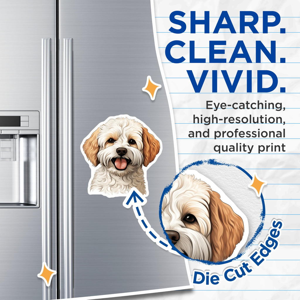 (2 Pack) Cavapoo Dog Magnets - Pet Lover Decor - Dog Mom Dad Fridge Locker Art - 5 Inches On Longest Side - Thick Durable Magnet - Made in USA - MAG30900