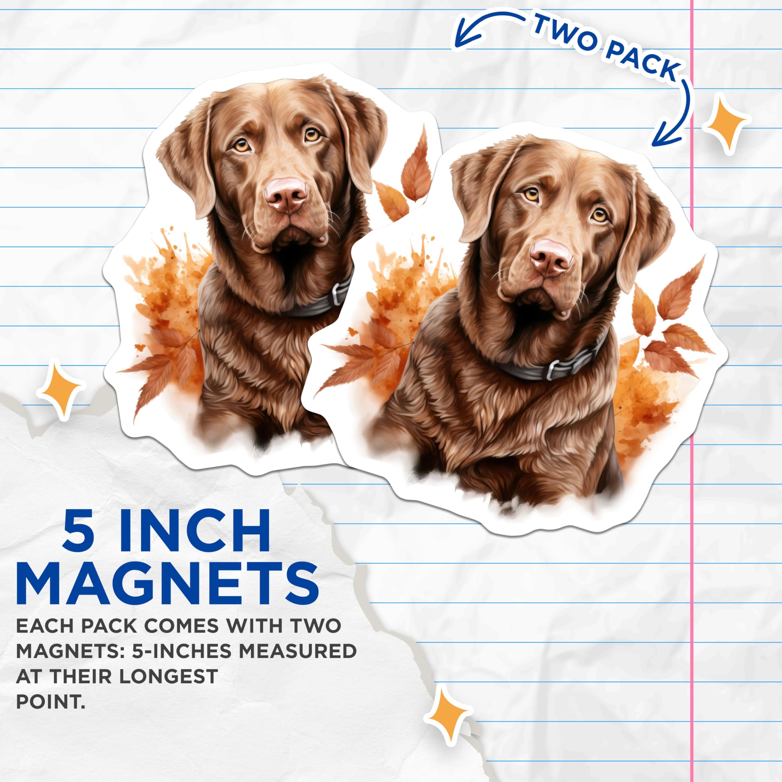 (2 Pack) Chocolate Lab Dog Magnets - Autumn Labrador Retriever Art - Dog Owner Home Decor - 5 Inches On Longest Side - Thick Durable Magnet - Made in USA - MAG27616