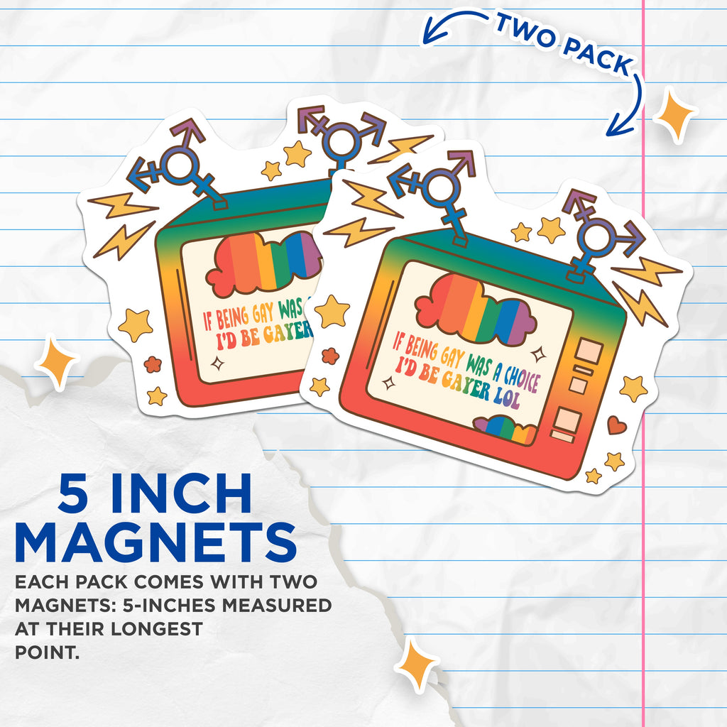 (2 Pack) Funny Gay Pride Magnets - Retro TV LGBTQ+ Humor - Queer Affirmation Rainbow Decor - 5 Inches On Longest Side - Thick Durable Magnet - Made in USA - MAG36193