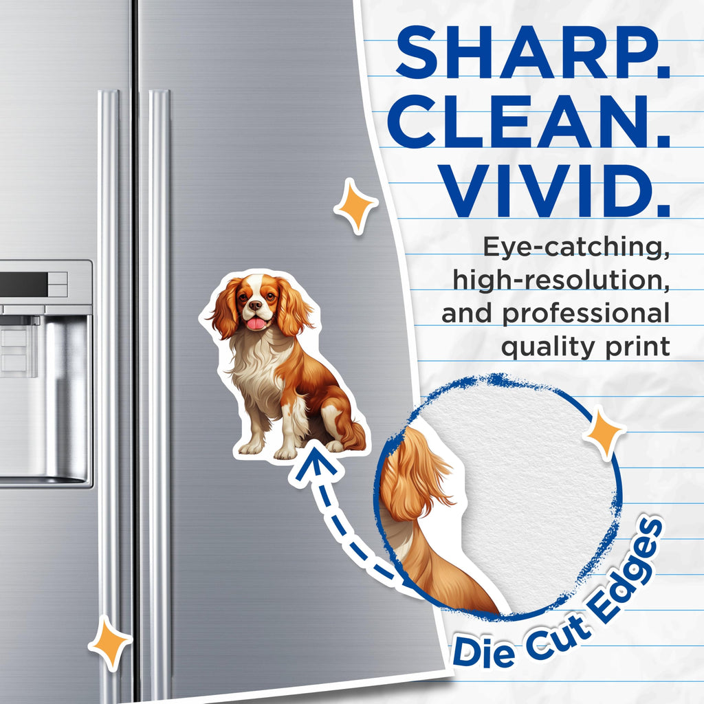(2 Pack) Cavalier King Charles Spaniel Magnets - Cute Blenheim Dog Artwork - Animal Lover Kitchen Decor - 5 Inches On Longest Side - Thick Durable Magnet - Made in USA - MAG30611