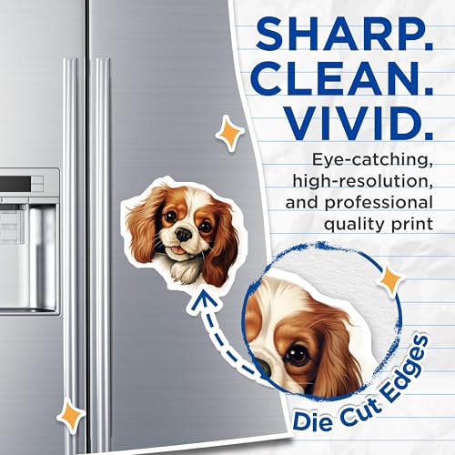 (2 Pack) Animal Lover Fridge Decor Magnet - 5" On Longest Side - Sticks to Smooth Flat Surfaces - Made in USA - MAG9926