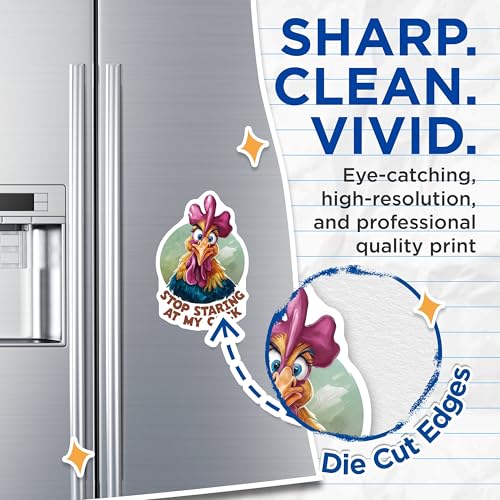 (2 Pack) Stop Staring at My Cock Magnets - Funny Rooster - Chicken Humor - Animal Lover - Fridge Art - 5" On Longest Side - for Cars, Fridges, Toolboxes - Made in USA - MAG4548
