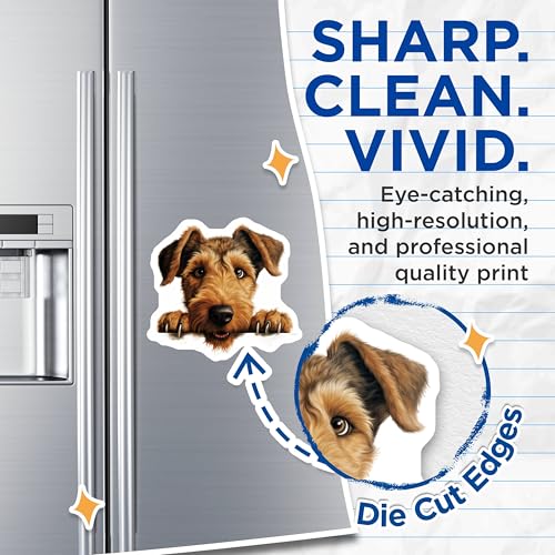 (2 Pack) Fridge Decoration Magnet - 5" On Longest Side - Sticks to Smooth Flat Surfaces - Made in USA - MAG10333