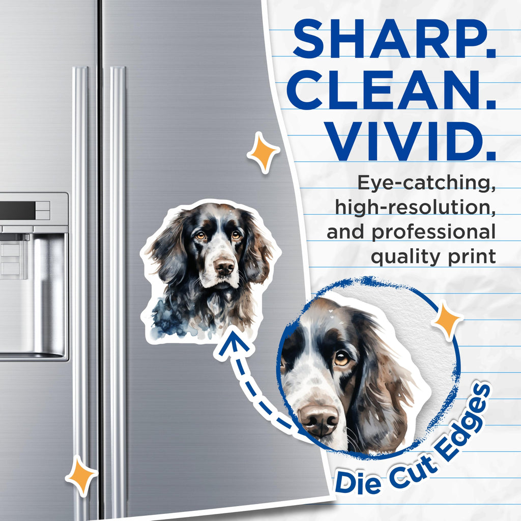 (2 Pack) Springer Spaniel Magnets - Watercolor Dog Art - Pet Lover Home Decor - 5 Inches On Longest Side - Thick Durable Magnet - Made in USA - MAG25298