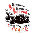 (2 Pack) Funny Cat Magnets - I Talk to Cats - 5" On Longest Side - for Cars, Fridges, Toolboxes - Made in USA - MAG7374