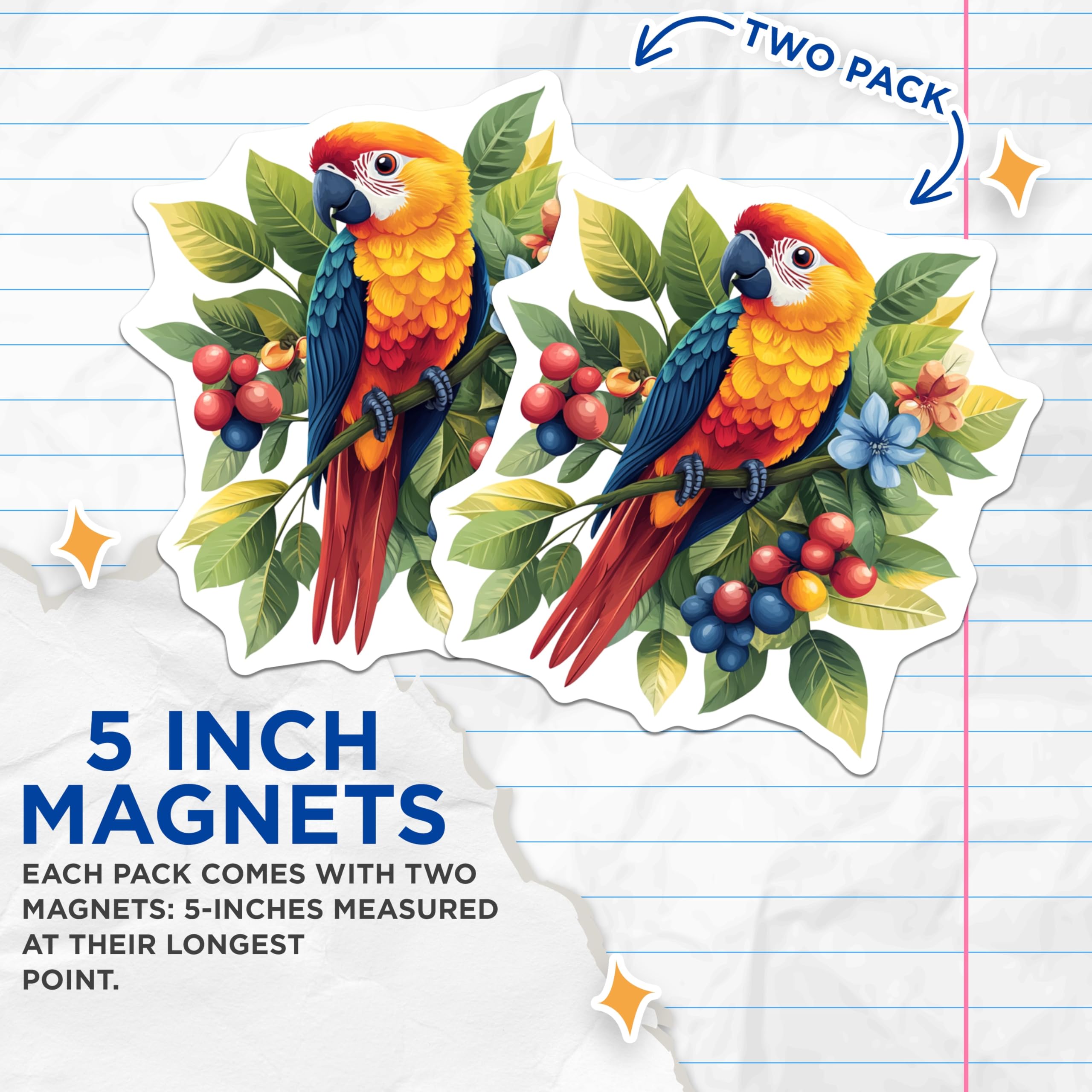 (2 Pack) Tropical Parrot Magnets - Exotic Bird Kitchen Decor - Vibrant Jungle Animal Fridge - 5 Inches On Longest Side - Thick Durable Magnet - Made in USA - MAG25232