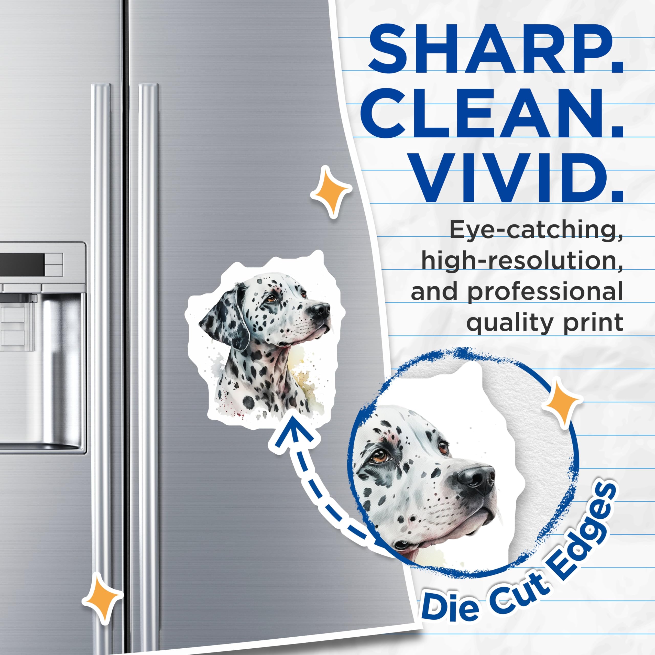 (2 Pack) Dalmatian Dog Magnets - Watercolor Pet Portrait - Unique Fridge Magnets - 5" On Longest Side - Premium Magnet - for Cars, Refrigerators, Toolboxes, Lockers - Made in USA - MAG15356