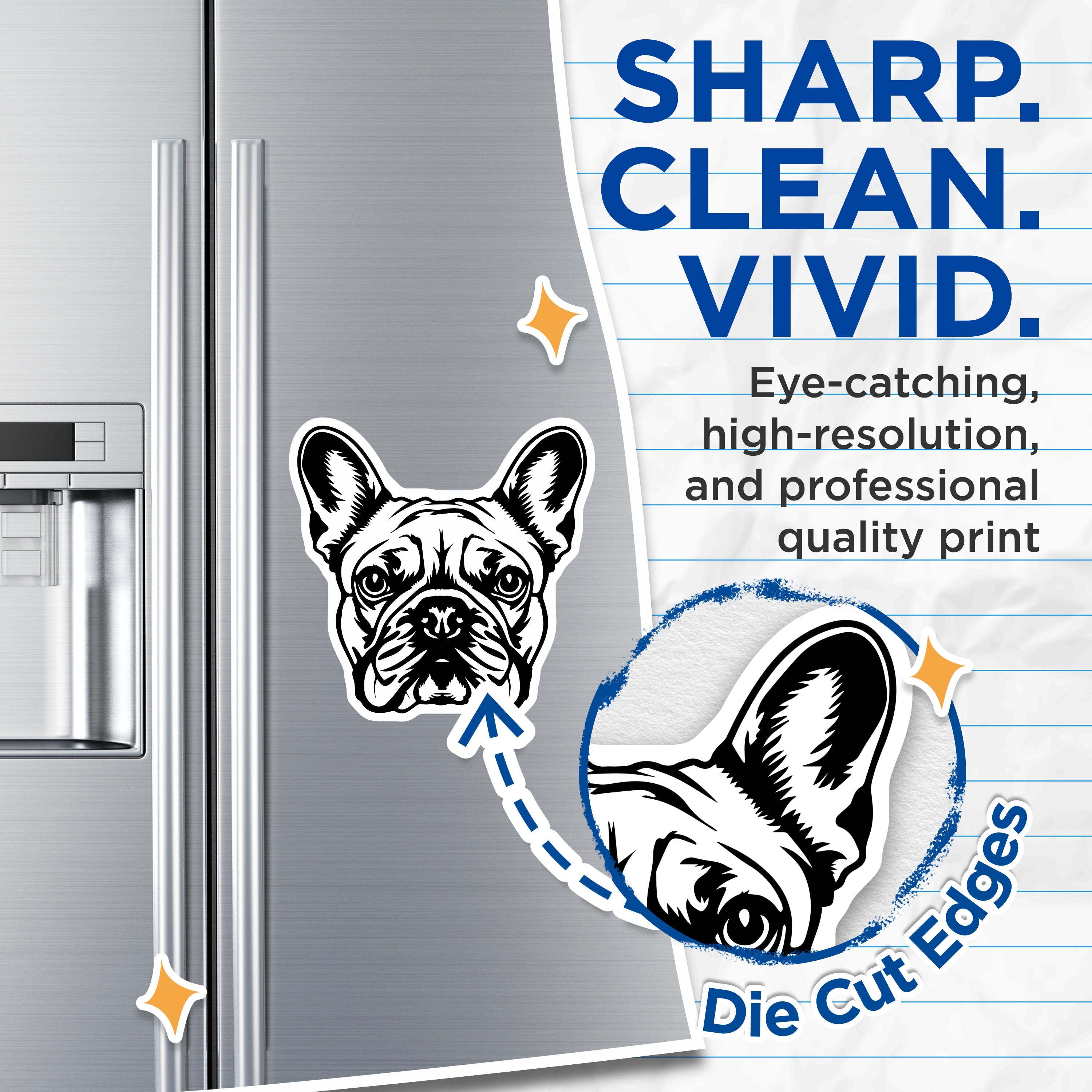 (2 Pack) French Bulldog Magnets - Frenchie Dog Decor - Animal Lover Refrigerator Locker - 5 Inches On Longest Side - Thick Durable Magnet - Made in USA - MAG37155
