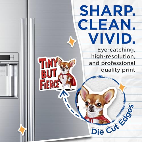 (2 Pack) Funny Dog Quote Magnets Magnets - Tiny But Fierce Magnet - Chihuahua Magnet - 5" On Longest Side - Made in USA - Sticks to Refrigerators & Metal Surfaces - MAG8536