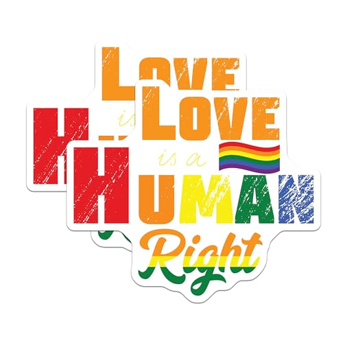 (2 Pack) Love is a Human Right Stickers - Rainbow Right Stickers - LGBTQ Rights Stickers - 5" On Longest Side - Sticks to Smooth Flat Surfaces - Made in USA - BMCS4700