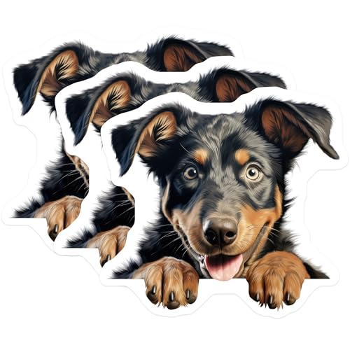 (3 Pack) Cute Dog Decals - Puppy Laptop Stickers - Border Collie - 3 Inches On Longest Side - Easy Peel & Apply - Made in USA - 3MCS8620