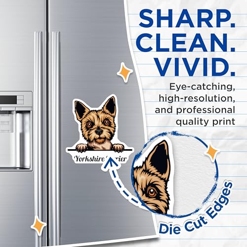 (2 Pack) Yorkshire Terrier Magnets - Cute Dog Magnets - Pet Lover ation - Animal Magnets - Dog Breed Collectibles - 5" On Longest Side - for Cars, Fridges, Toolboxes - Made in USA - MAG4229