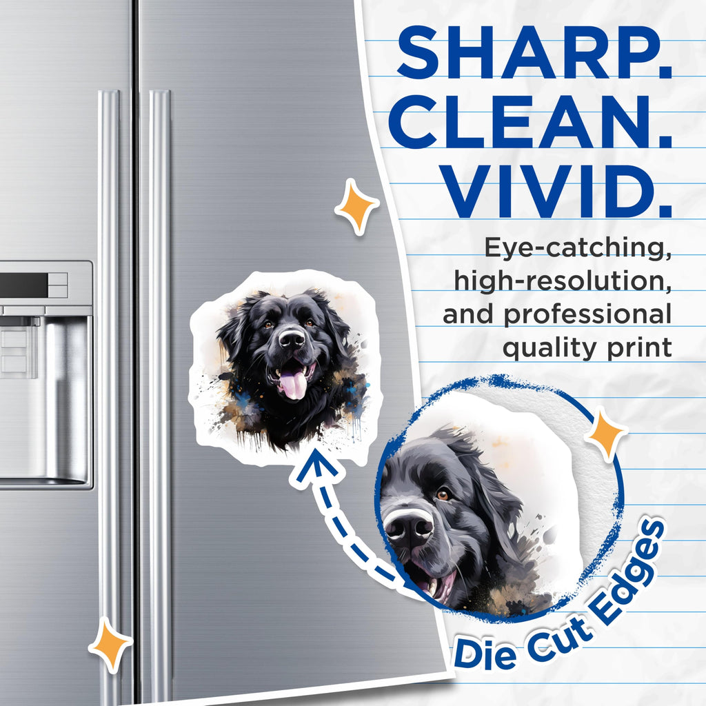 (2 Pack) Newfoundland Dog Magnets - Black Canine Watercolor Art - Happy Smiling Pet Decor - Animal Lover Fridge Locker - 5 Inches On Longest Side - Thick Durable Magnet - Made in USA - MAG24244