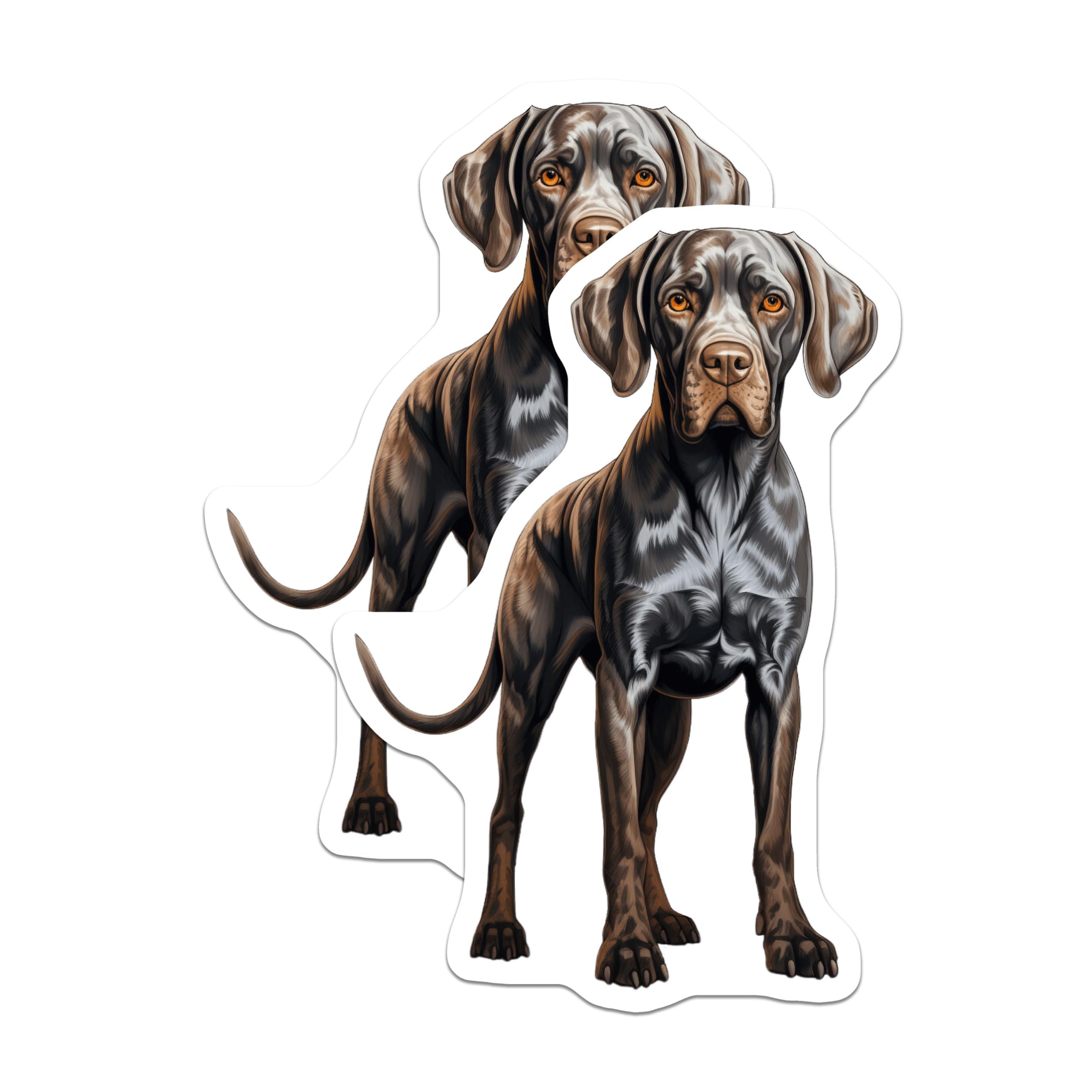 (2 Pack) German Shorthaired Pointer Magnets - GSP Dog Art - Pet Lover Fridge Decor - 5 Inches On Longest Side - Thick Durable Magnet - Made in USA - MAG24172