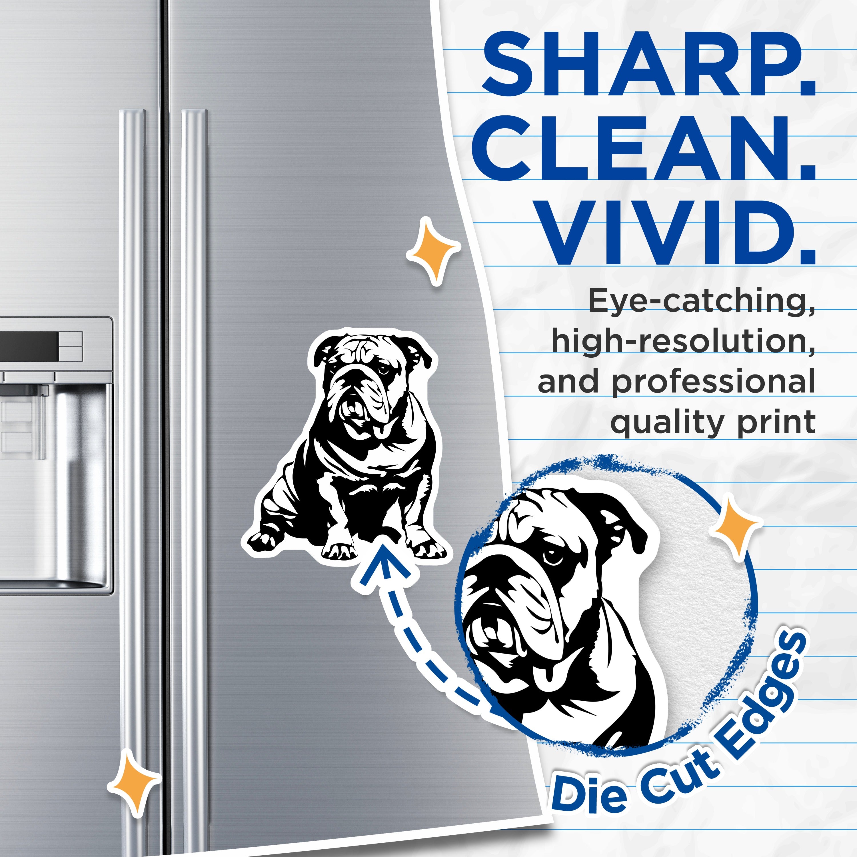 (2 Pack) English Bulldog Magnets - Dog Lover Refrigerator Decor - Pet Breed Artwork - Bulldog Mom Dad Accent - Animal Fridge Art - 5" - Thick Durable Magnet - Made in USA - MAG39662