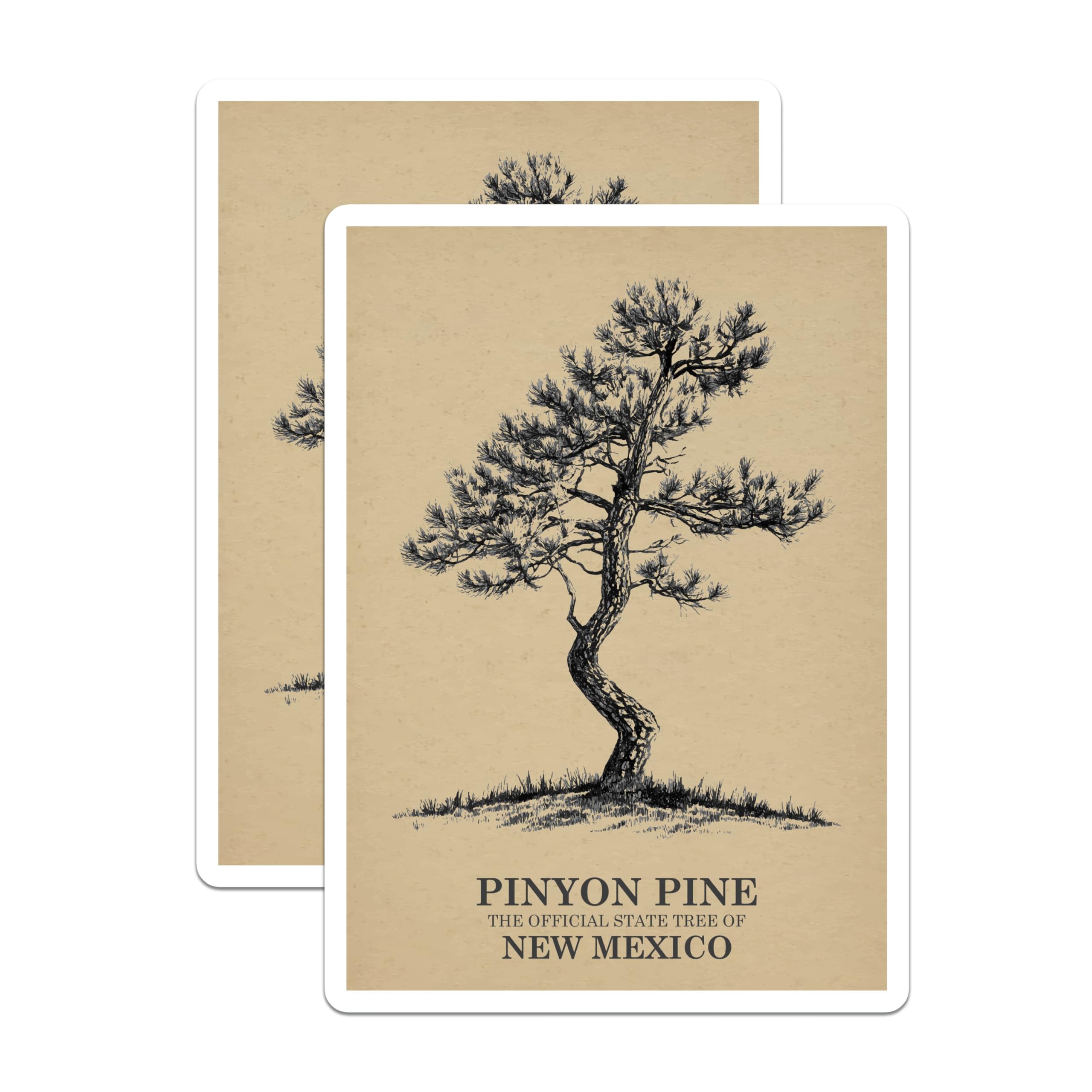 (2 Pack) Pinyon Pine Magnets - New Mexico State Tree Decor - Artistic Tree Illustrations - 5" On Longest Side - Premium Magnet - for Cars, Refrigerators, Toolboxes, Lockers - Made in USA - MAG18592