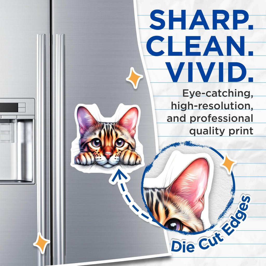 (2 Pack) Bengal Cat Magnets - Refrigerator Decor - Cute Kitten Magnet - 5" On Longest Side - Premium Magnet - for Cars, Refrigerators, Toolboxes, Lockers - Made in USA - MAG15538