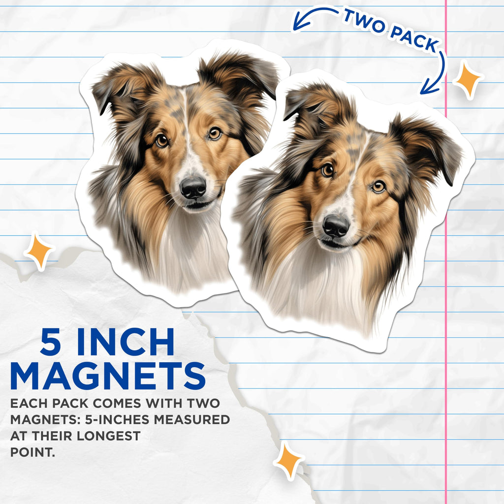 (2 Pack) Shetland Sheepdog Magnets - Sheltie Dog Art - Canine Lover Decor - Animal Breed Fridge Accessory - Pet Owner Idea - 5 Inches On Longest Side - Thick Durable Magnet - Made in USA - MAG23696