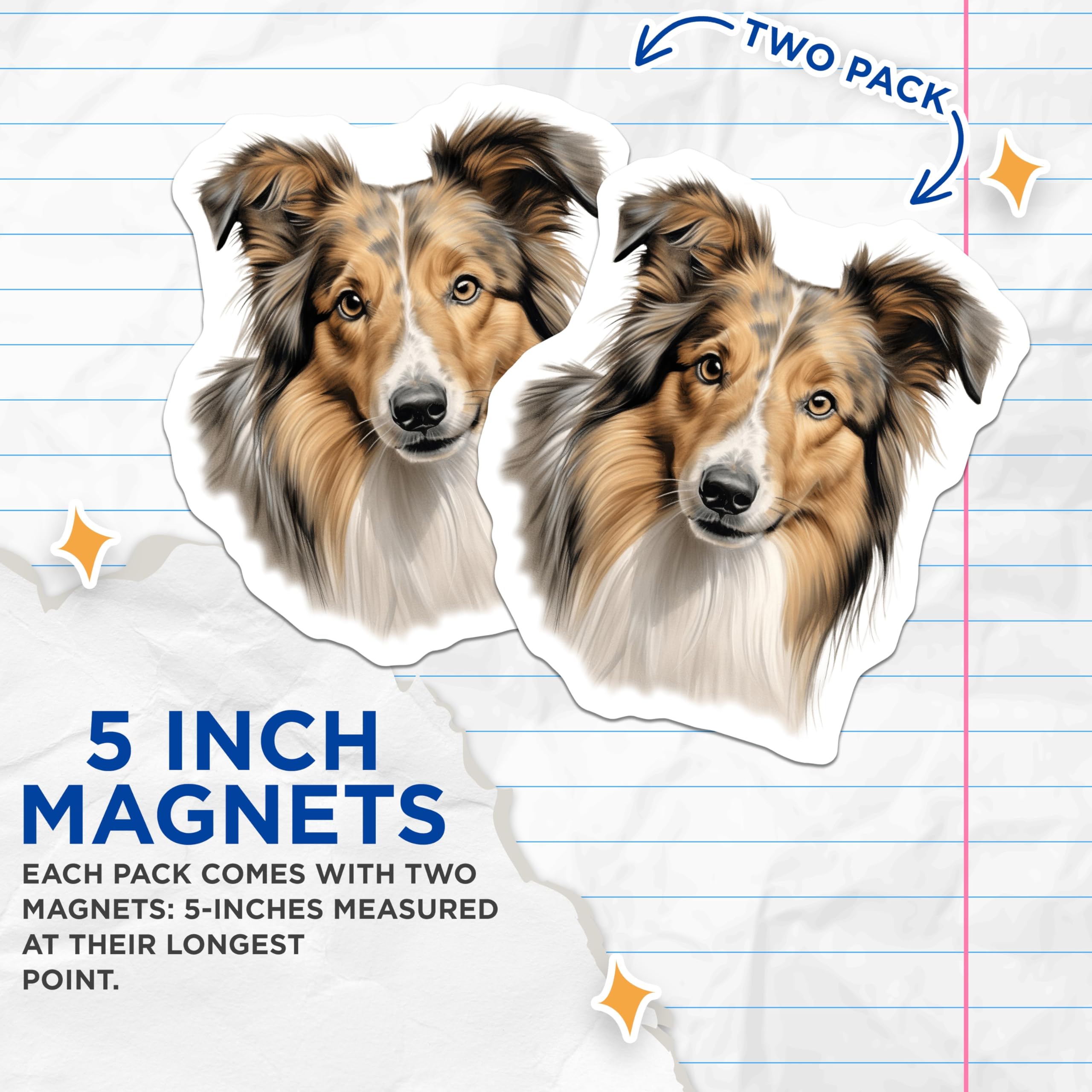 (2 Pack) Shetland Sheepdog Magnets - Sheltie Dog Art - Canine Lover Decor - Animal Breed Fridge Accessory - Pet Owner Idea - 5 Inches On Longest Side - Thick Durable Magnet - Made in USA - MAG23696