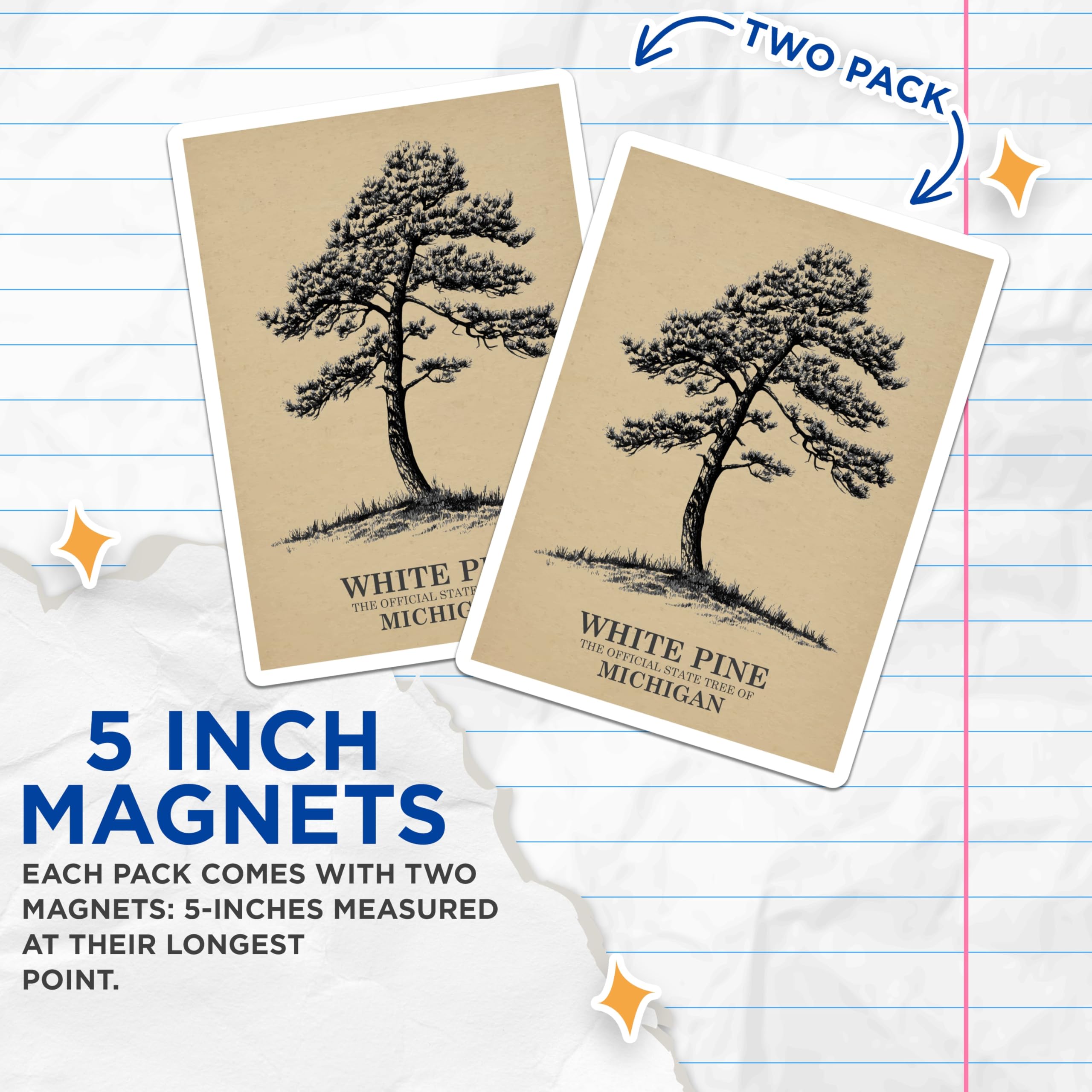 (2 Pack) White Pine Magnets - Michigan State Tree Art - Nature Lover Refrigerator Decor - 5" On Longest Side - Premium Magnet - for Cars, Refrigerators, Toolboxes, Lockers - Made in USA - MAG17579