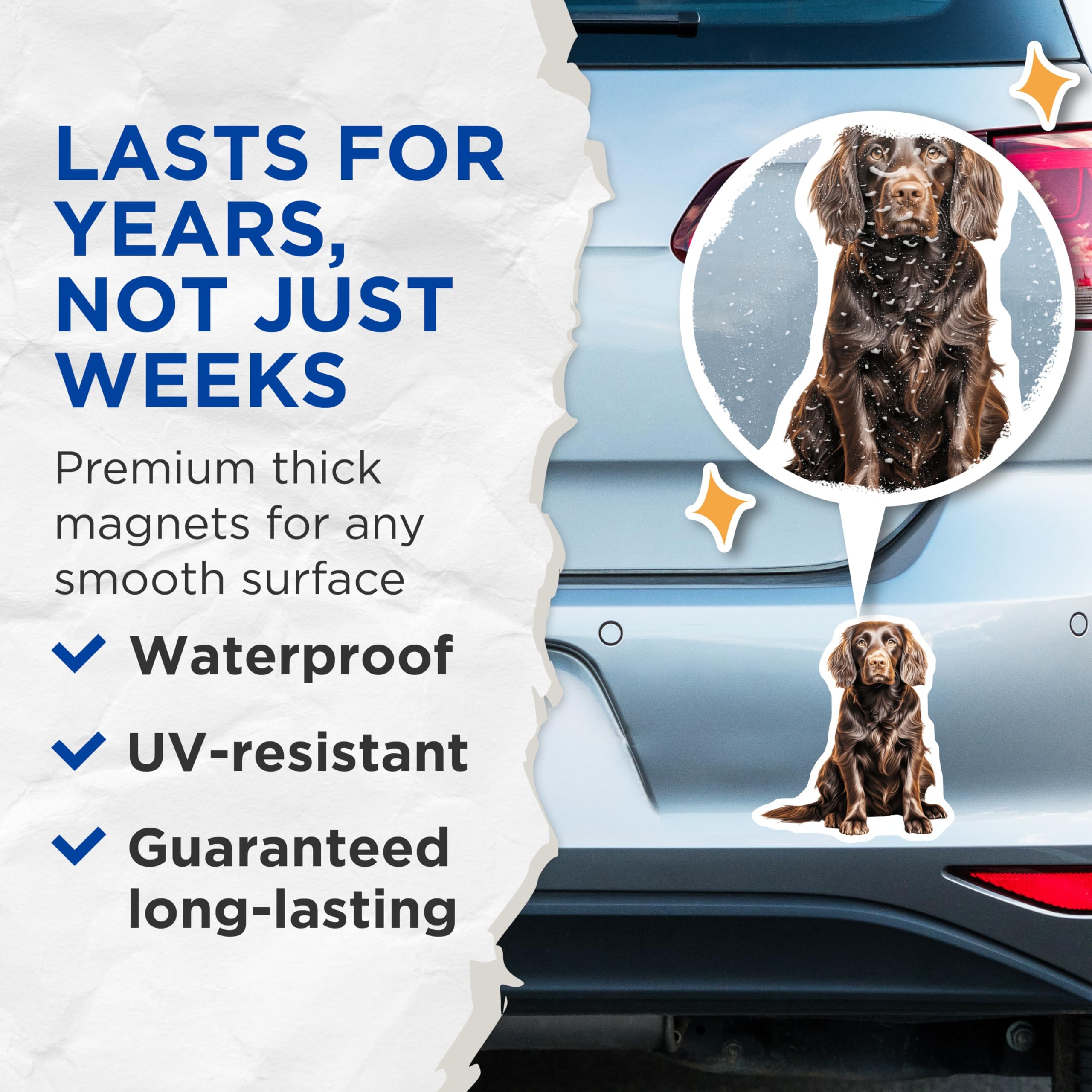 (2 Pack) Flat Coated Retriever Dog Magnets - Brown Dog Pet Lover - Pet Memorial Home Decor - 5 Inches On Longest Side - Thick Durable Magnet - Made in USA - MAG28389