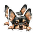 (2 Pack) Chihuahua Magnets - Dog Breed Magnets - Watercolor Pet Magnets - 5" On Longest Side - Premium Magnet - for Cars, Refrigerators, Toolboxes, Lockers - Made in USA - MAG15845