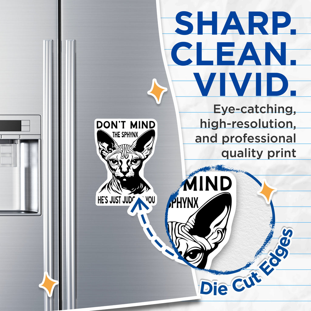 (2 Pack) Sphynx Cat Magnets - Funny Judging Cat Decor - Sarcastic Pet Lover Fridge Magnet - Unique Animal Humor - 5 Inches On Longest Side - Thick Durable Magnet - Made in USA - MAG36464