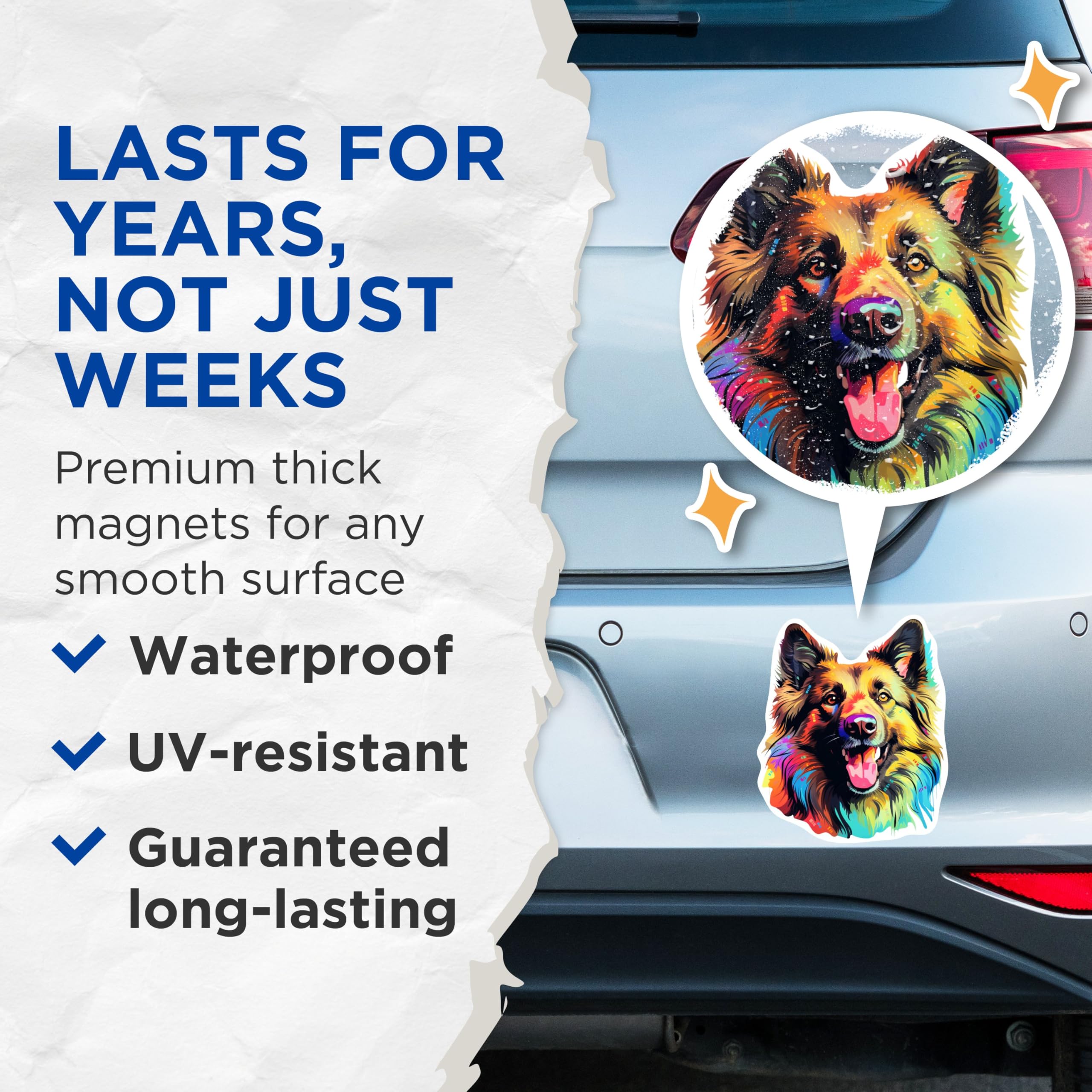 (2 Pack) Belgian Tervuren Dog Breed Magnets - 5 Inches On Longest Side - Choose from Over 100 Dog Breeds - for Cars, Refrigerators, Toolboxes - Made in USA - MAG1774