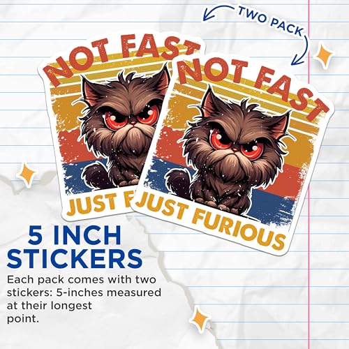 (2 Pack) Not Fast Just Furious Stickers - Cute Cat Illustration - Funny Cat Lover Decal - 5" On Longest Side - Sticks to Smooth Flat Surfaces - Made in USA - BMCS7342