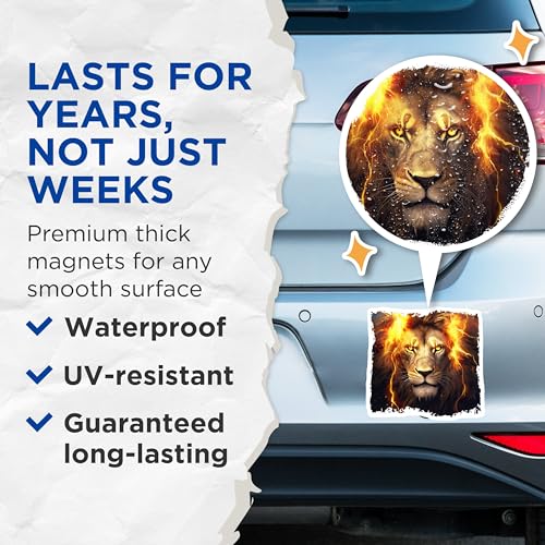 (2 Pack) Majestic Lion Magnets - Animal Magnets for Fridge - Unique Wild Life - 5" On Longest Side - for Cars, Fridges, Toolboxes - Made in USA - MAG4266