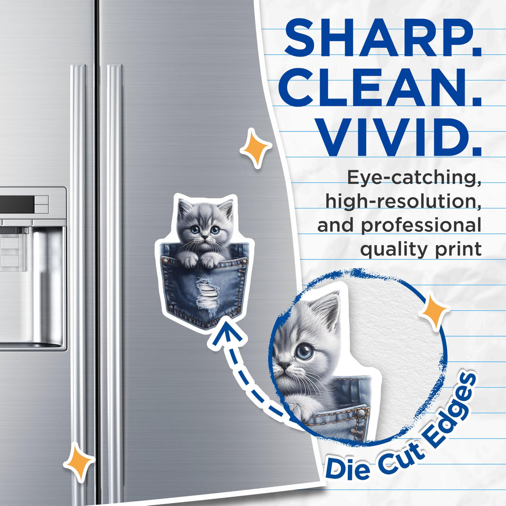 (2 Pack) Kitten in Pocket Magnets - Cute Cat Art - Fridge Decor for Pet Lovers - 5" On Longest Side - Premium Magnet - for Cars, Refrigerators, Toolboxes, Lockers - Made in USA - MAG15716