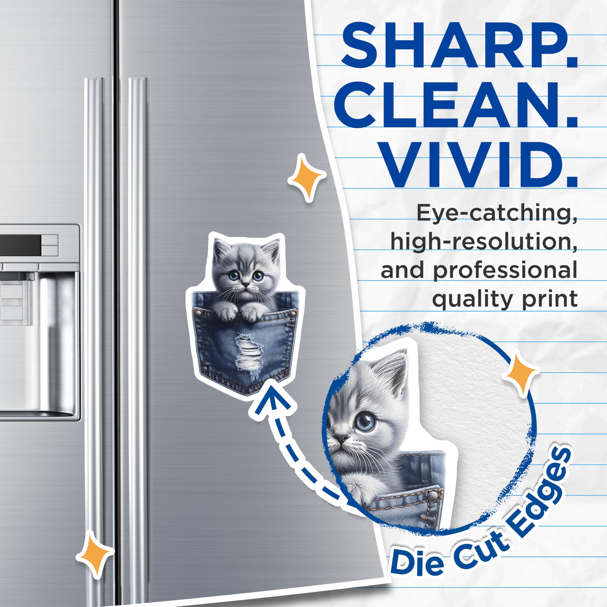 (2 Pack) Kitten in Pocket Magnets - Cute Cat Art - Fridge Decor for Pet Lovers - 5" On Longest Side - Premium Magnet - for Cars, Refrigerators, Toolboxes, Lockers - Made in USA - MAG15716