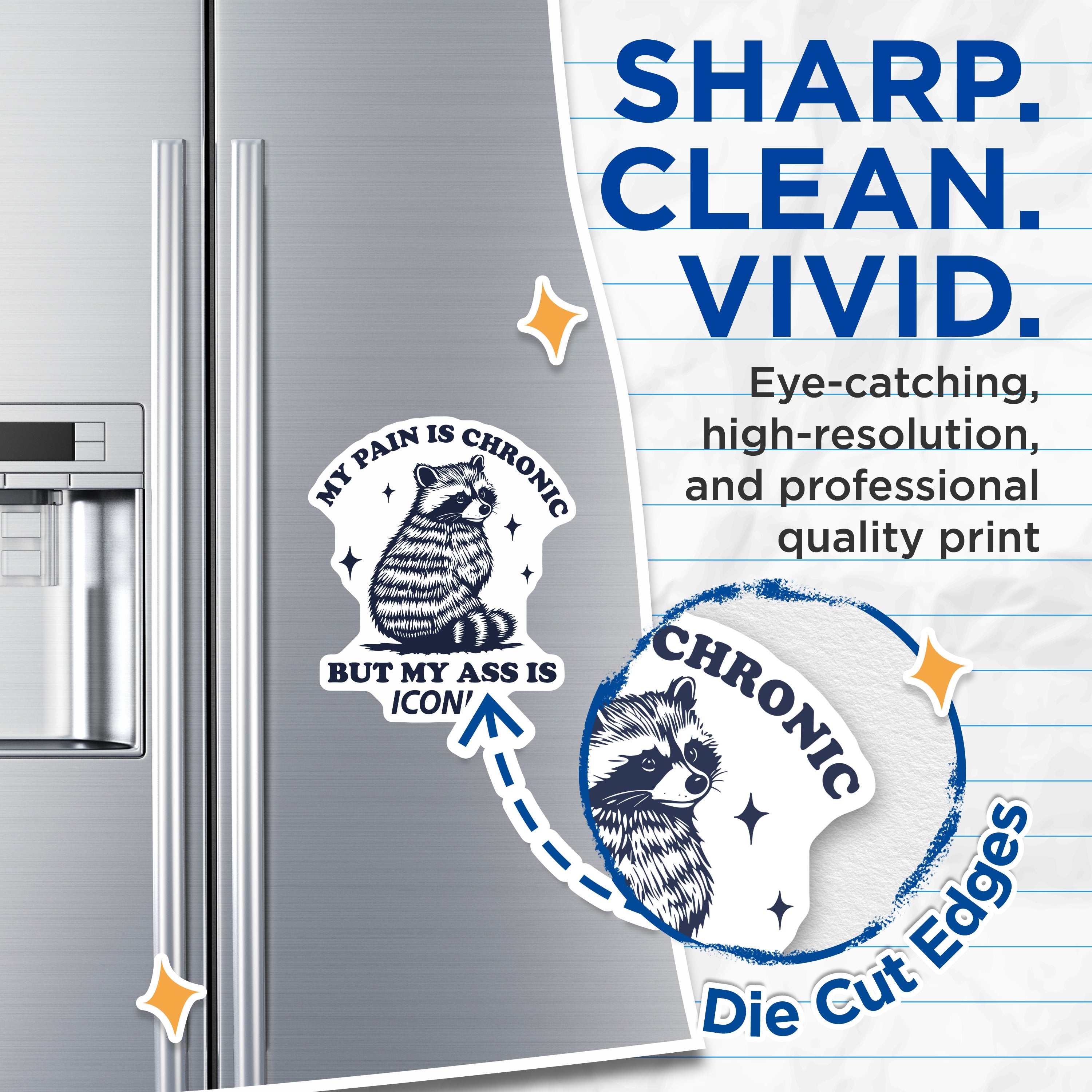 (2 Pack) Raccoon Chronic Pain Magnets - Iconic Ass Humor - Sarcastic Fridge Accent - 5 Inches On Longest Side - Thick Durable Magnet - Made in USA - MAG36431
