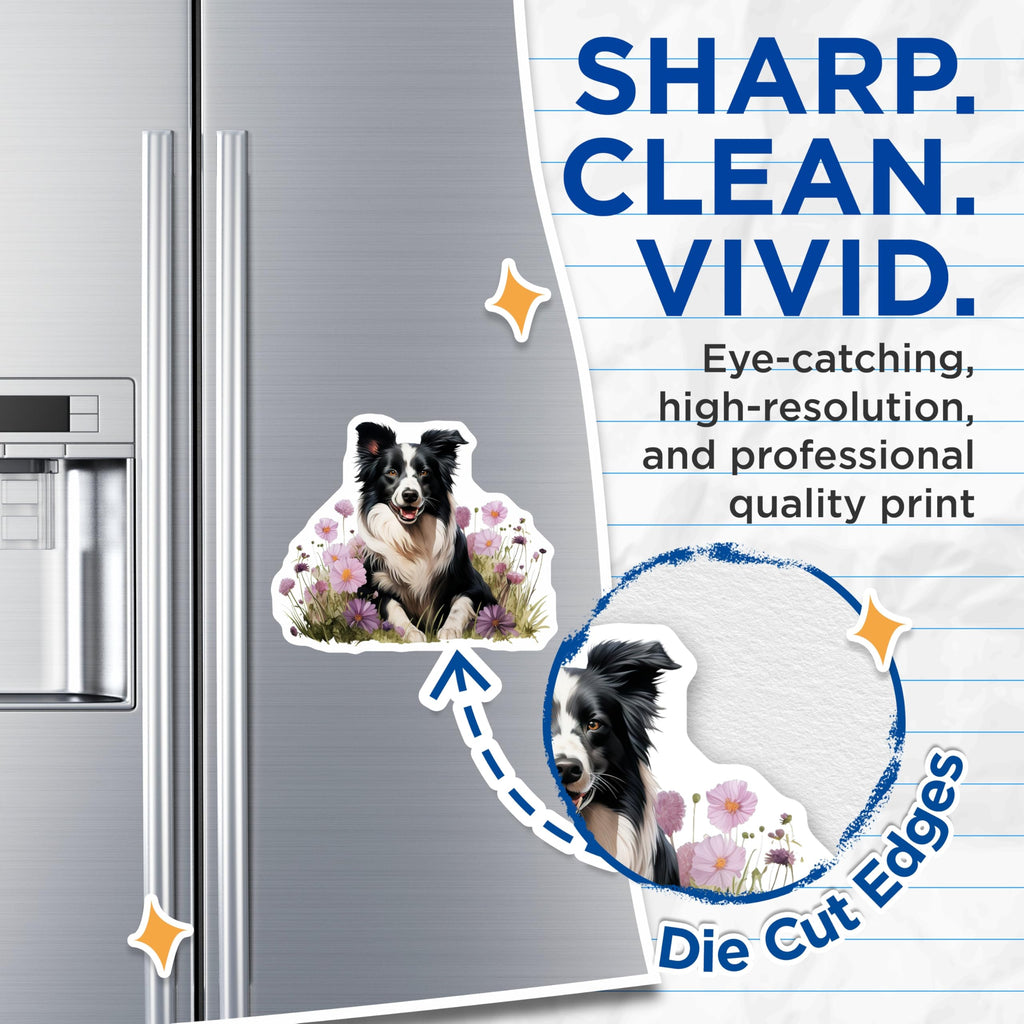 (2 Pack) Border Collie Magnets - Dog Lover Fridge Decor - Pet Parent Kitchen Art - Floral Animal Magnets - 5 Inches On Longest Side - Thick Durable Magnet - Made in USA - MAG26259