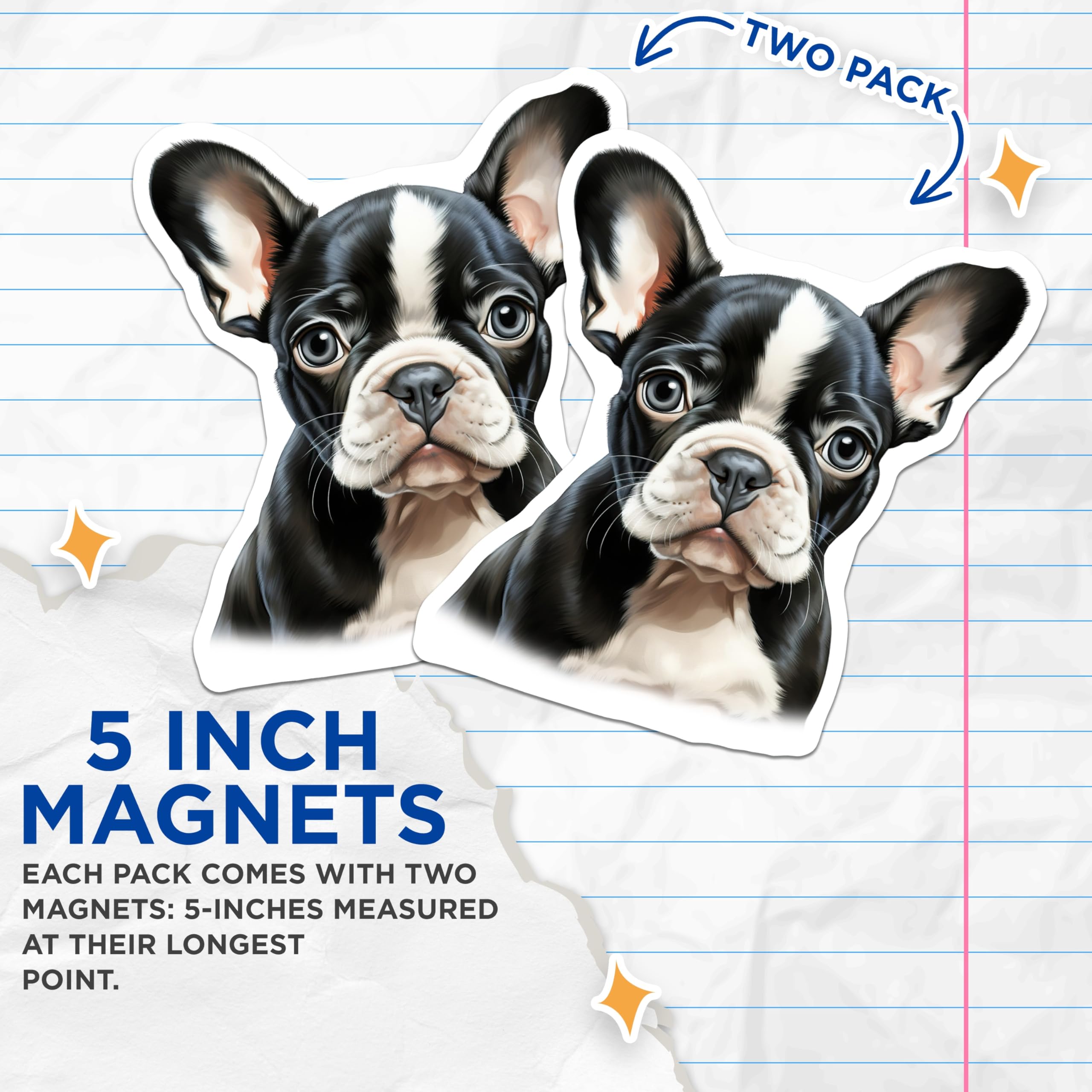 (2 Pack) Boston Terrier Puppy Magnets - Cute Dog Lover Decor - Refrigerator Locker Accents - 5 Inches On Longest Side - Thick Durable Magnet - Made in USA - MAG28012