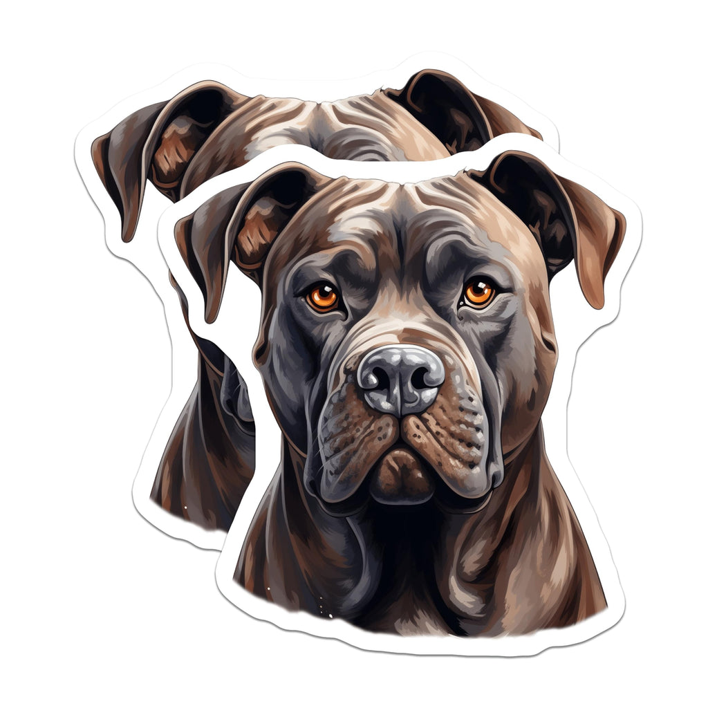 (2 Pack) Cane Corso Dog Breed Magnets - Powerful Mastiff Animal Portrait - Refrigerator Kitchen Locker Home Decor - 5 Inches On Longest Side - Thick Durable Magnet - Made in USA - MAG23250