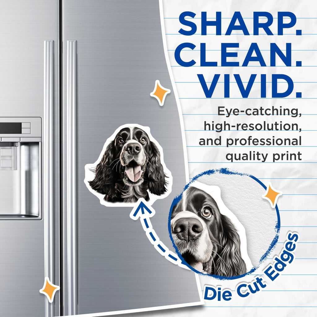 (2 Pack) Spaniel Dog Magnets - Cute Dog Lover Decor - Pet Parent Refrigerator Accessories - 5 Inches On Longest Side - Thick Durable Magnet - Made in USA - MAG30950