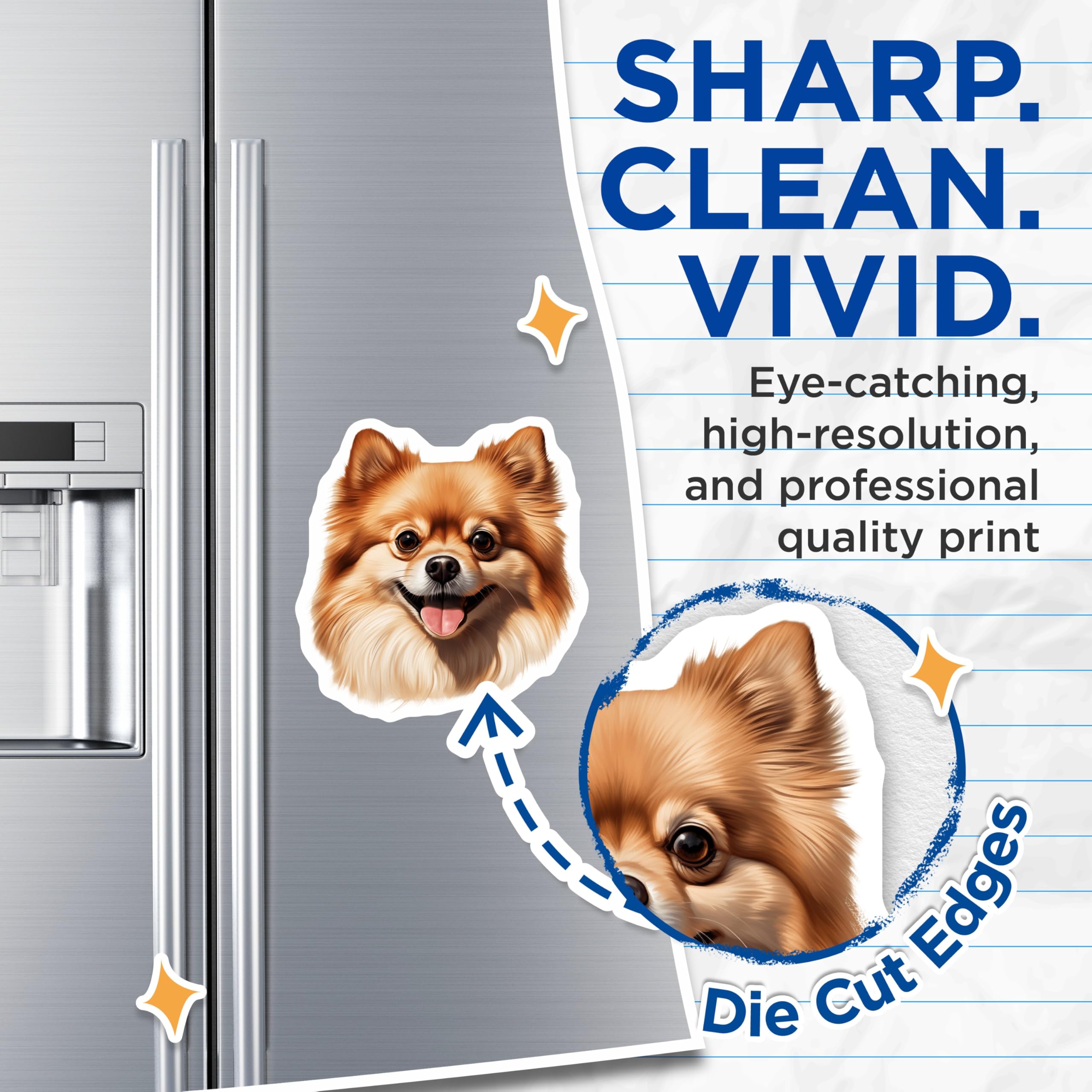 (2 Pack) Smiling Pomeranian Dog Magnets - Cute Fluffy Pet Lover Decor - Dog Mom Puppy Fridge Accessories - 5 Inches On Longest Side - Thick Durable Magnet - Made in USA - MAG25988