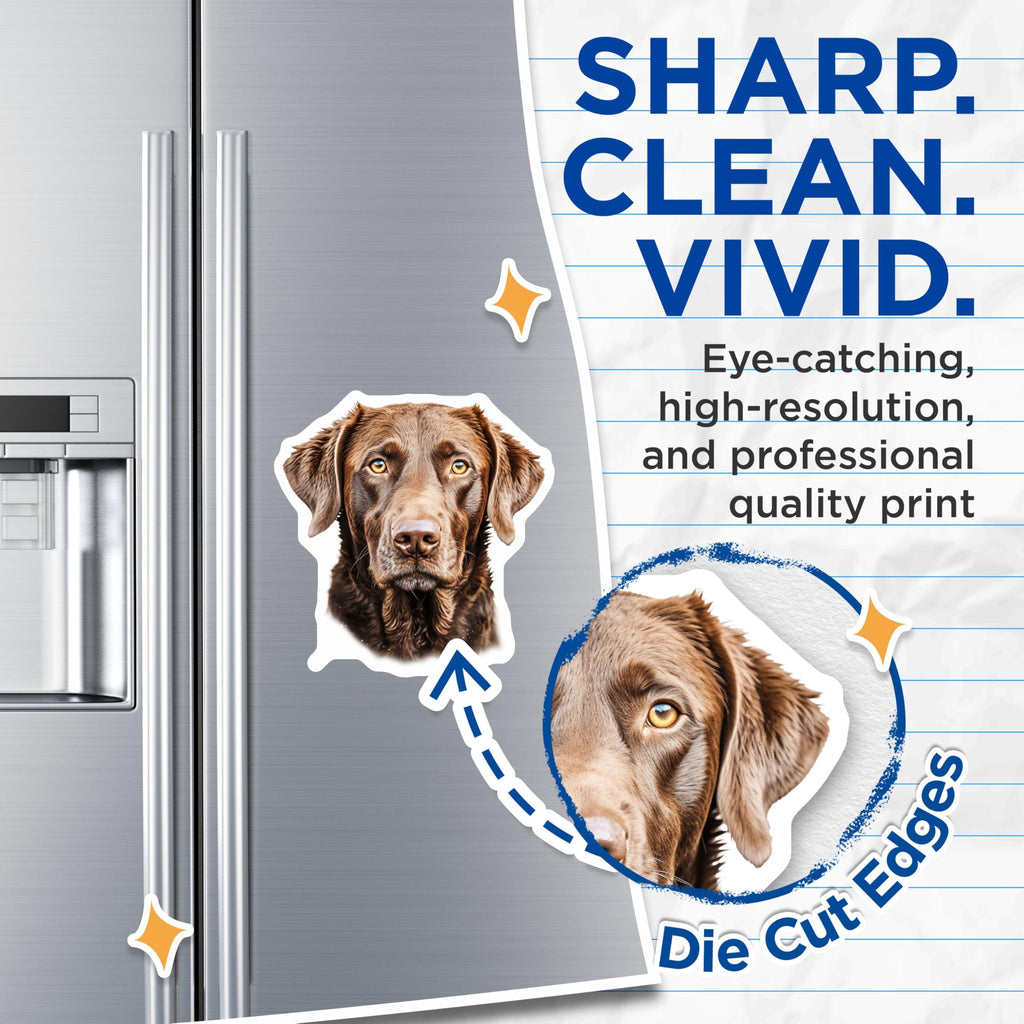(2 Pack) Chocolate Labrador Magnets - Dog Lover Decor - Lab Retriever Art - Pet Owner Fridge Accent - 5 Inches On Longest Side - Thick Durable Magnet - Made in USA - MAG25701